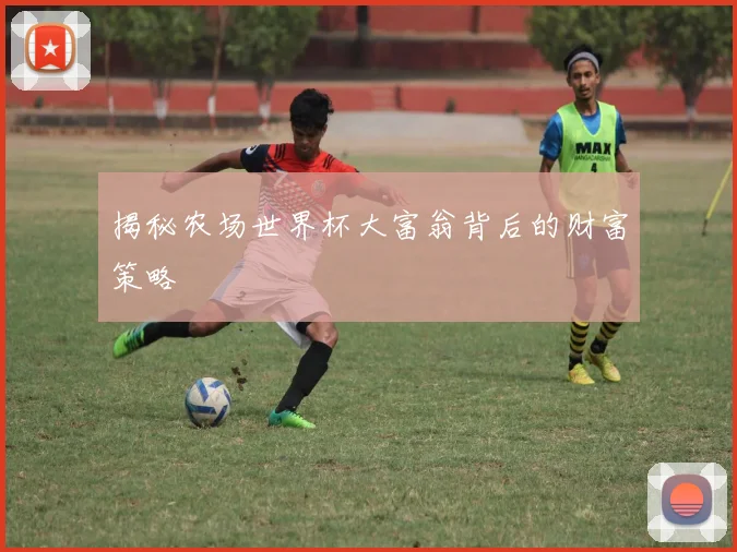 揭秘农场世界杯大富翁背后的财富策略