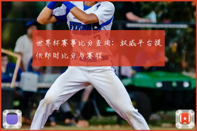 世界杯赛事比分查询：权威平台提供即时比分与赛程