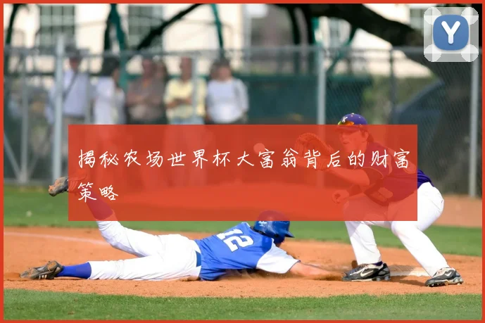 揭秘农场世界杯大富翁背后的财富策略